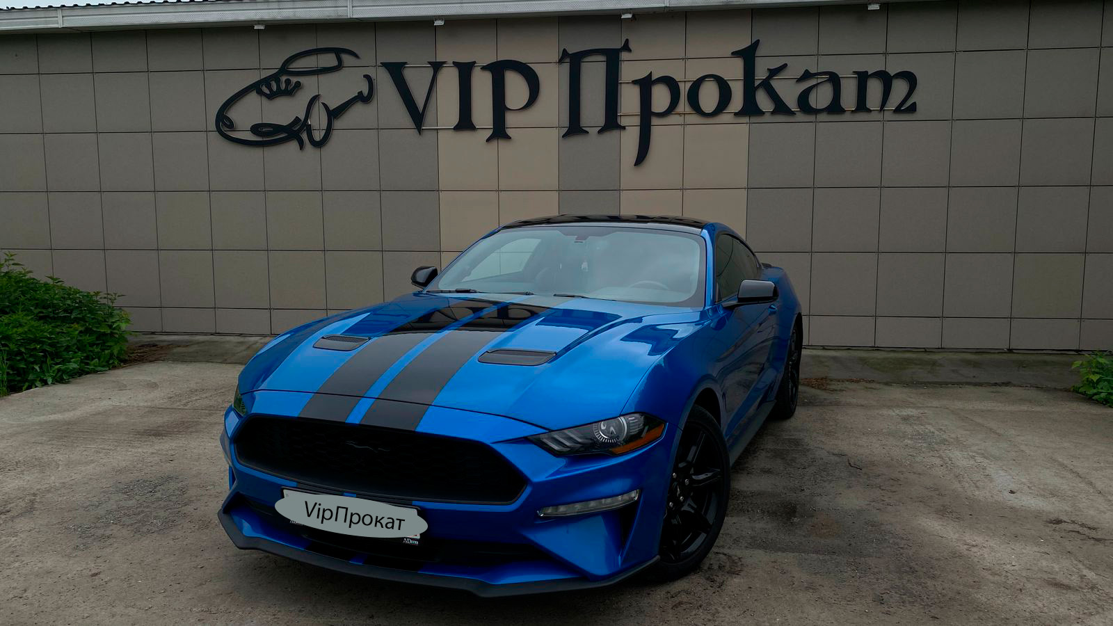 Прокат авто Ford Mystang в Кемерово